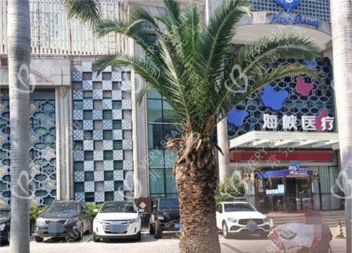 廈門海峽劉歆院長豐胸好嗎