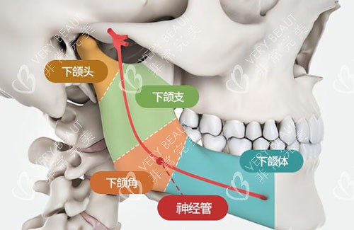 韩国TS整形外科下颌角手术特点分析