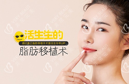 迪美活生生的脂肪移植術(shù)
