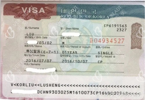 韩国签证示意图