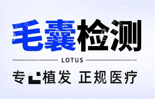 毛囊检测图