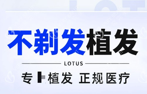 不剃发植发