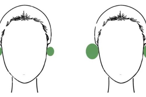 耳朵位置大小对比示意图