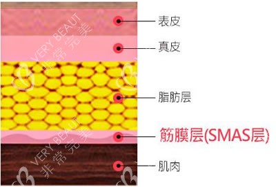 广州面部提升紧致图