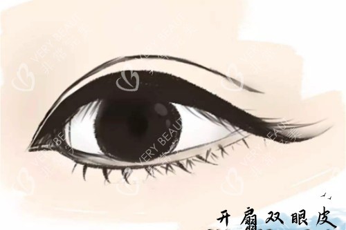 开扇双眼皮卡通图片展示