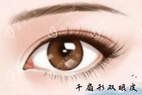 平扇形双眼皮卡通图片展示