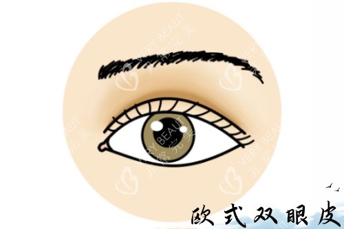欧版双眼皮卡通图片展示