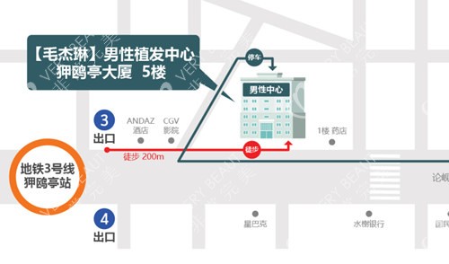 韓國(guó)毛杰琳植發(fā)地圖照
