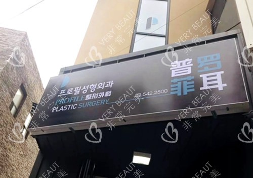 韓國普羅菲耳整形門牌照