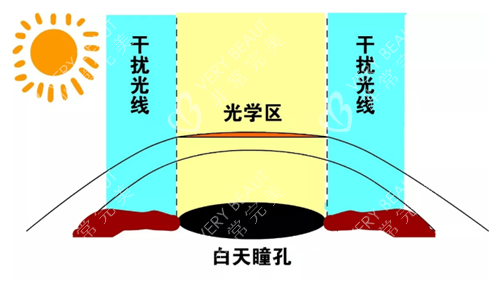 瞳孔能看见的范围