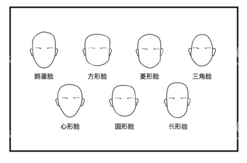 不同形状的面部外轮廓示意图