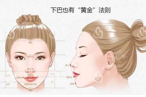下巴美學(xué)設(shè)計圖