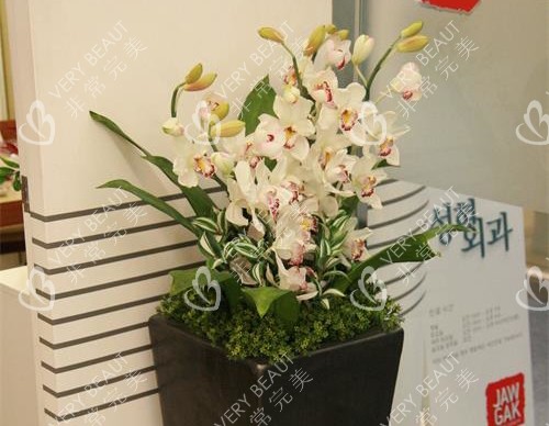 韓國雕刻整形醫(yī)院導醫(yī)臺