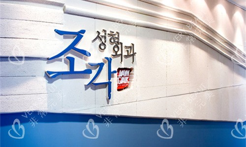 韓國雕刻整形醫(yī)院logo圖