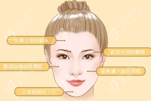 面部美学设计 面部美学设计