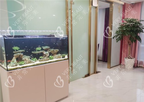 上海联合丽格整形环境