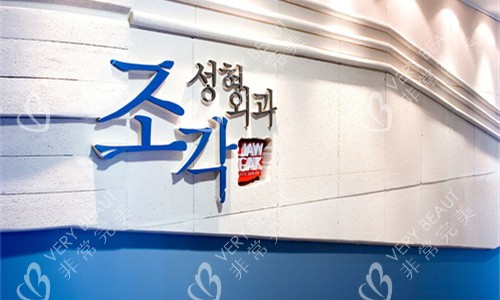 韩国雕刻整形医院logo图