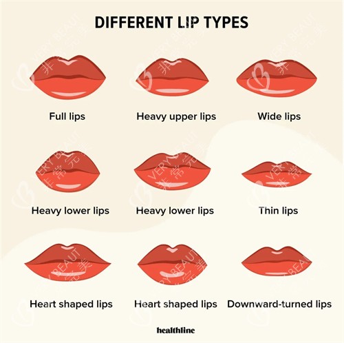 不同唇型展示图
