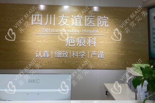 成都友谊医院疤痕科logo