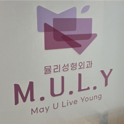 韩国MULY整形外科