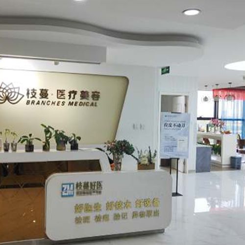 郑州枝蔓医疗美容介绍_郑州枝蔓医疗美容价格_在线预约郑州枝蔓医疗美容