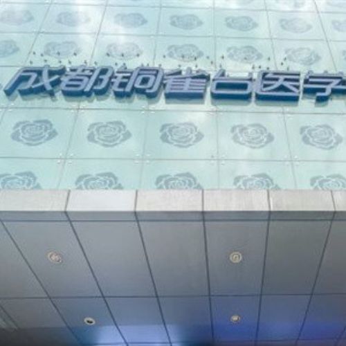 成都铜雀台医美美容医院介绍_成都铜雀台医美美容医院价格_在线预约成都铜雀台医美美容医院
