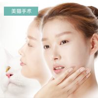 高傲的眼神 优雅的神情 鼻部整形 让脸庞更有吸引魅力-美猫手术-韩国佰诺佰琪(原：巴诺巴奇)整形外科