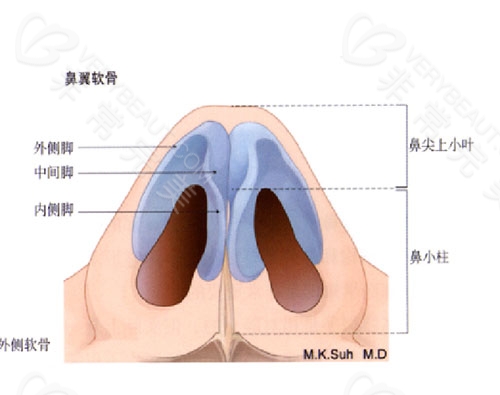 成都纽莱茵整形医院鼻整形示意图