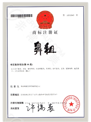 南京鼻祖医疗整形美容医院商标注册证