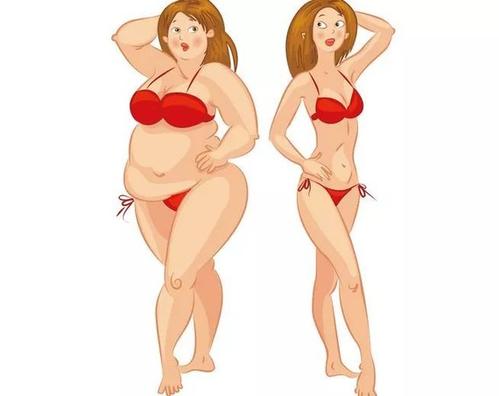 胖子减肥对比图片