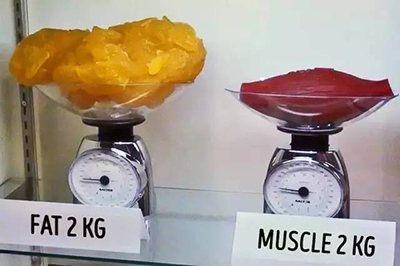 2kg脂肪对比2kg肌肉