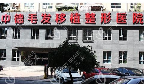 北京中德毛发移植医院