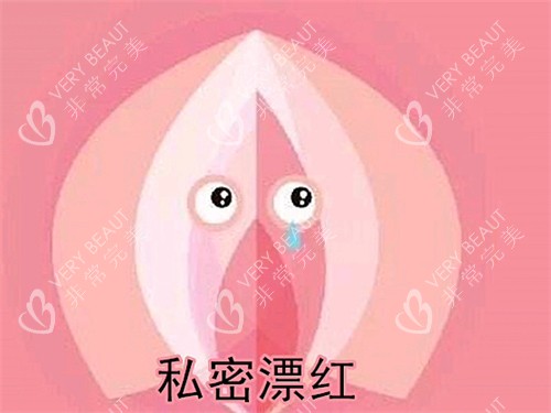 私处漂红动画图