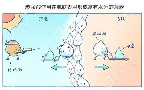 玻尿酸作用示意图