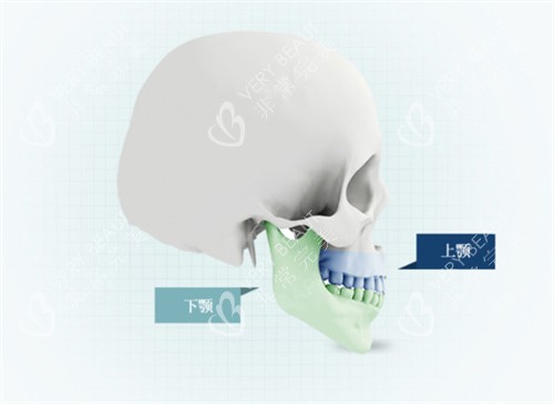 双鄂位置动画演示图