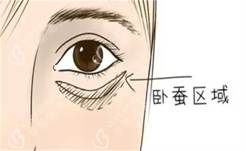 卧蚕所在区域