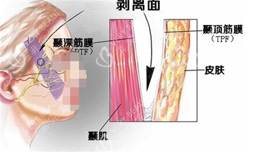 广州曙光医学美容走廊图