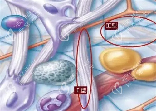 什么是重组胶原蛋白