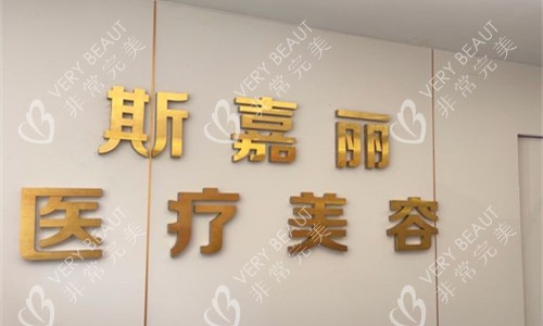 北京斯嘉丽整形logo图展示