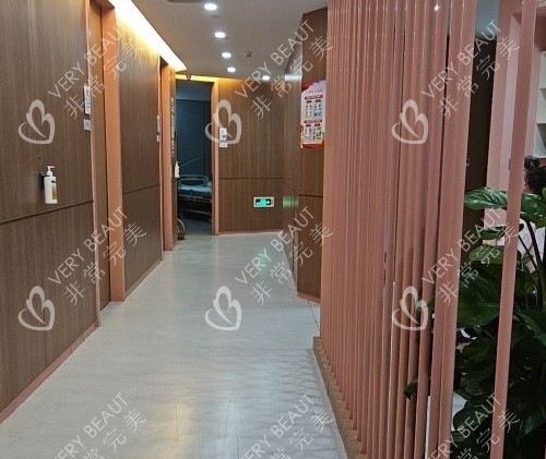 深圳艺星整形过道区