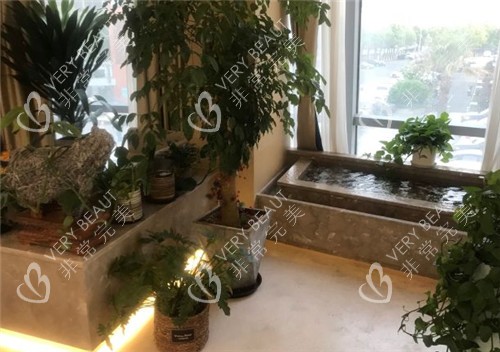 上海九慕医疗美容环境