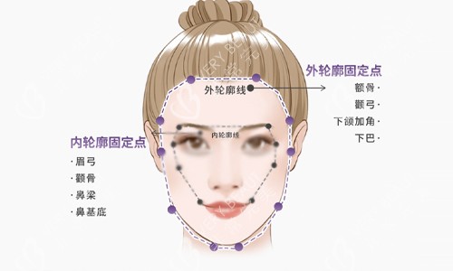 面部轮廓说明