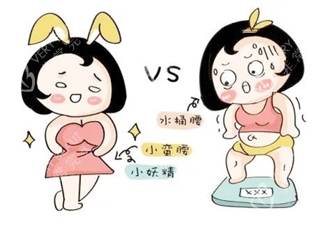 吸脂对比卡通图