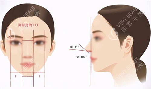 鼻部美学
