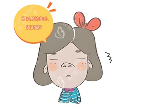 朝天鼻该怎么矫正呢动画图