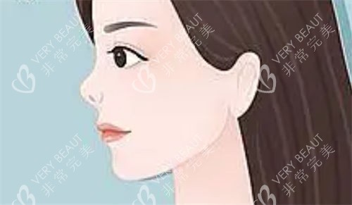朝天鼻侧面动画展示图