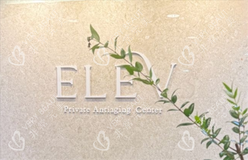 elev前台背景品牌logo展示