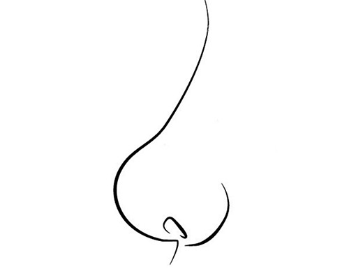 蒜头鼻
