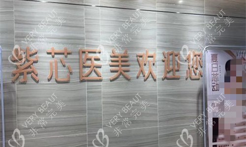 东莞紫芯医疗美容logo图