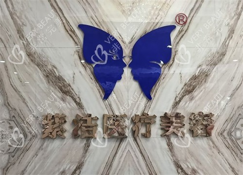 赤峰叶子医疗美容logo图片